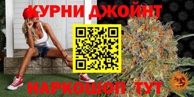 сатива Лесосибирск