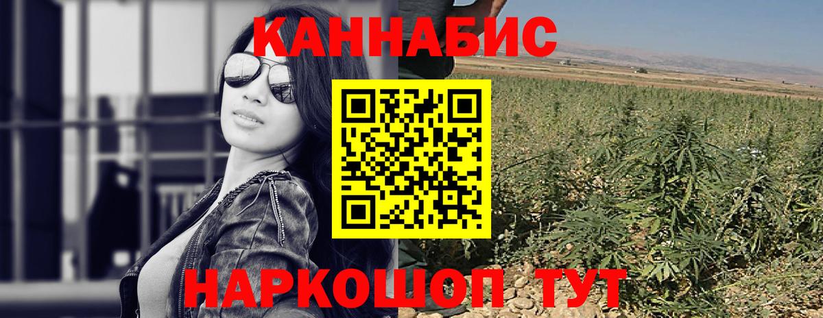 Бошки марихуана планчик  МАРИХУАНА марихуана  Каннабис планчик  Ивантеевка  Марихуана THC 21%  Вход с VPN 